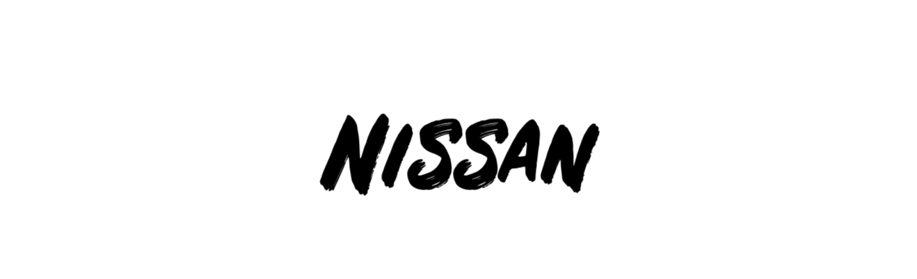 Kühlergrillmontagesätze für NISSAN