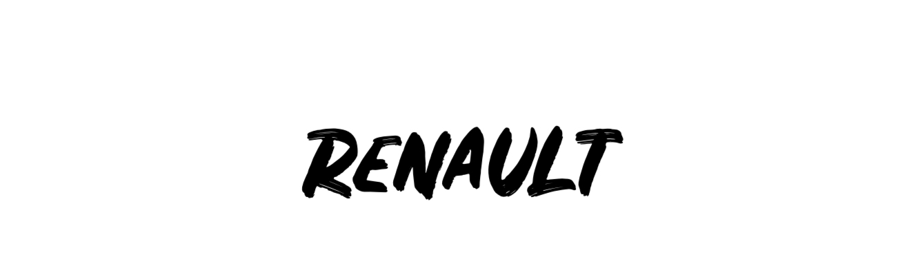 Kühlergrillmontagesätze für RENAULT