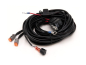 Preview: TWO-LAMP WIRING KIT (UTILITY SERIES, 12V)